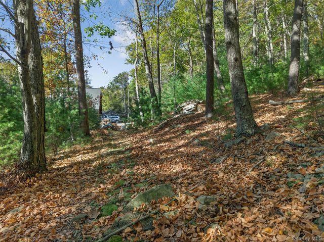 129 Hallock Road, Barryville, NY 12719