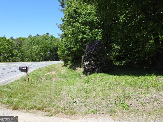 9503 Tails Creek Road, Ellijay, GA 30540