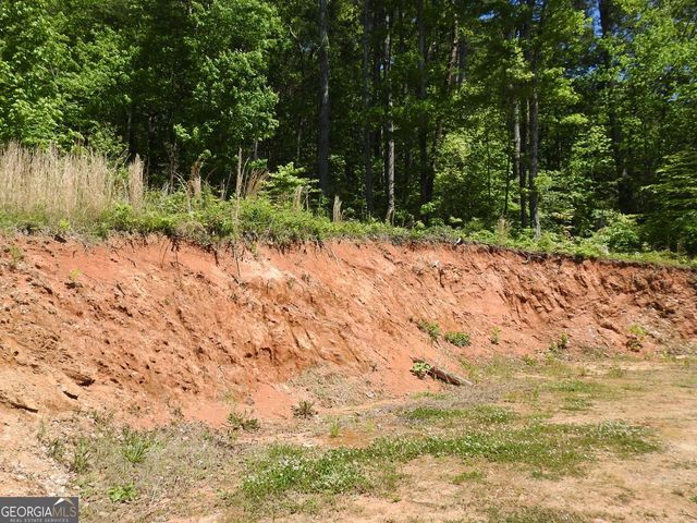 9503 Tails Creek Road, Ellijay, GA 30540