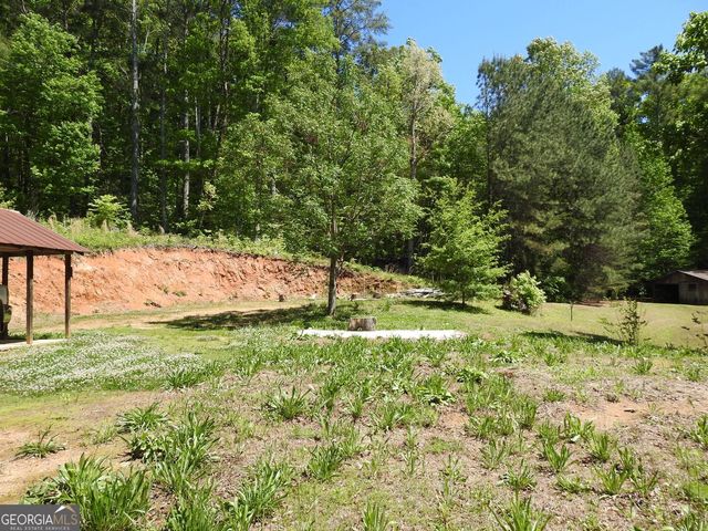 9503 Tails Creek Road, Ellijay, GA 30540