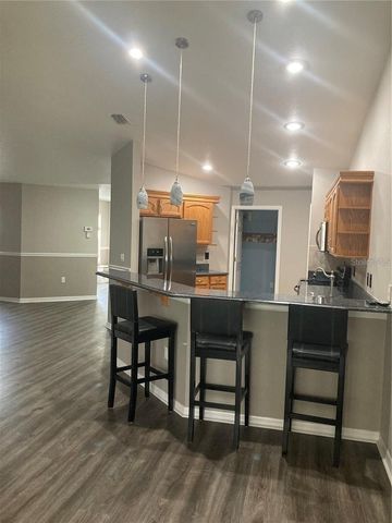 1819 HAMMOCKS AVENUE 1819, Lutz, FL 33549