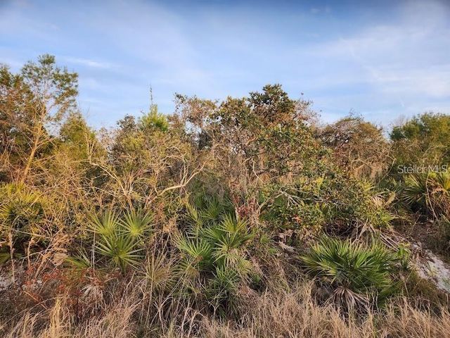 W FROSTPROOF ROAD Lot 17, Frostproof, FL 33843