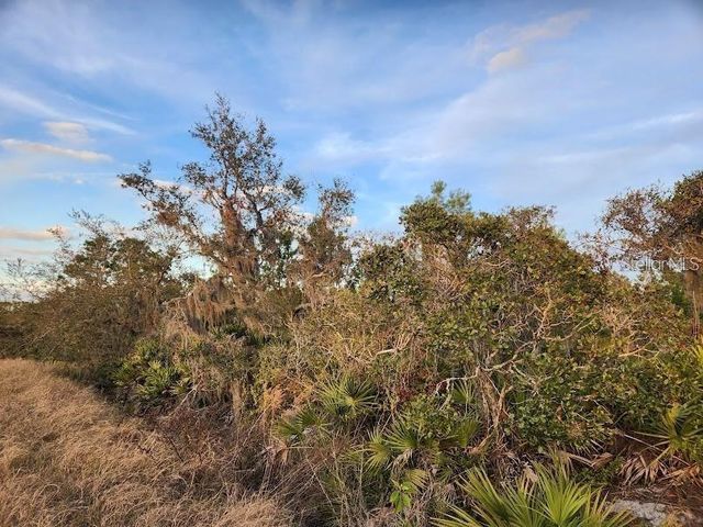W FROSTPROOF ROAD Lot 17, Frostproof, FL 33843