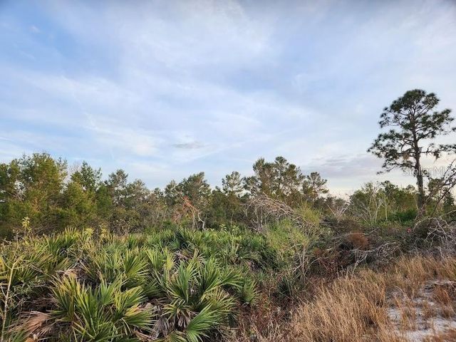 W FROSTPROOF ROAD Lot 17, Frostproof, FL 33843