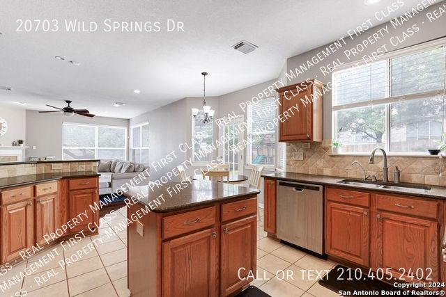 20703 Wild Springs Dr, San Antonio, TX 78258