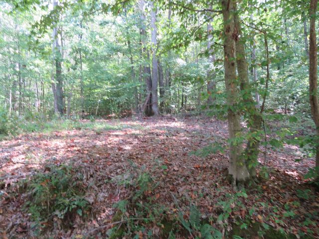 0 BUGG HOLLOW RD, Gallatin, TN 37066