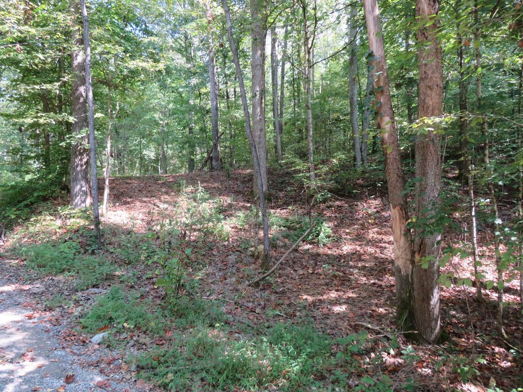 0 BUGG HOLLOW RD, Gallatin, TN 37066
