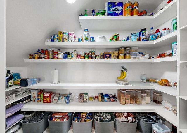 11117 LELAND GROVES DRIVE, Riverview, FL 33579