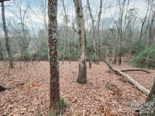 0 Birddog Boulevard 328, Lake Lure, NC 28746
