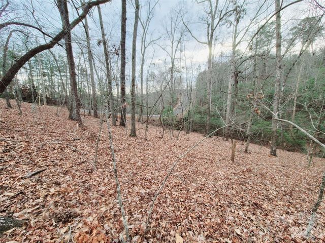 0 Birddog Boulevard 328, Lake Lure, NC 28746