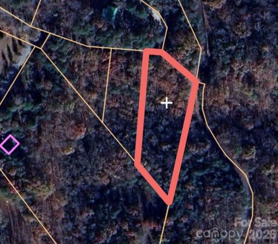 0 Birddog Boulevard 328, Lake Lure, NC 28746