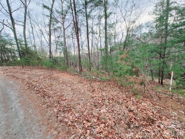0 Birddog Boulevard 328, Lake Lure, NC 28746