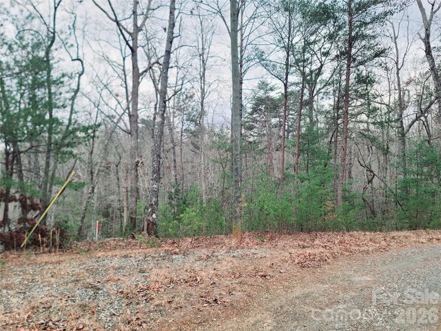 0 Birddog Boulevard 328, Lake Lure, NC 28746