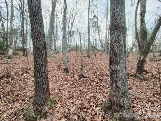 0 Birddog Boulevard 328, Lake Lure, NC 28746