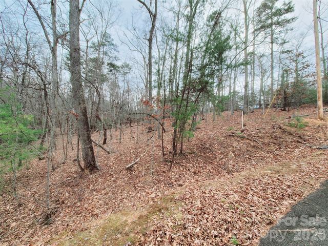 0 Birddog Boulevard 328, Lake Lure, NC 28746
