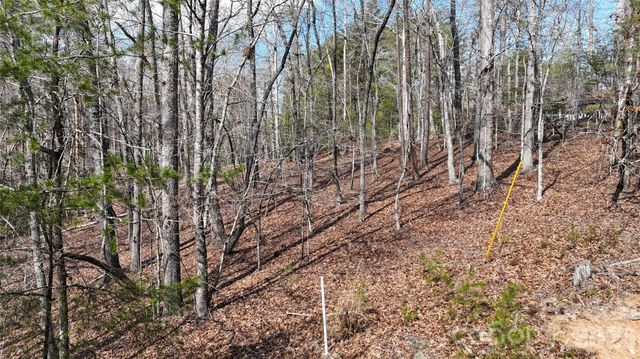 0 Birddog Boulevard 328, Lake Lure, NC 28746