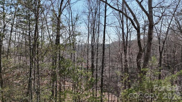 0 Birddog Boulevard 328, Lake Lure, NC 28746