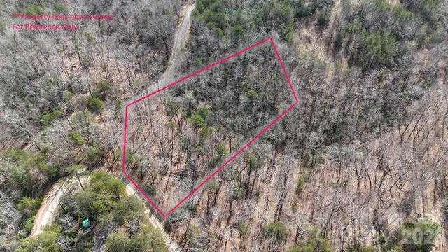 0 Birddog Boulevard 328, Lake Lure, NC 28746