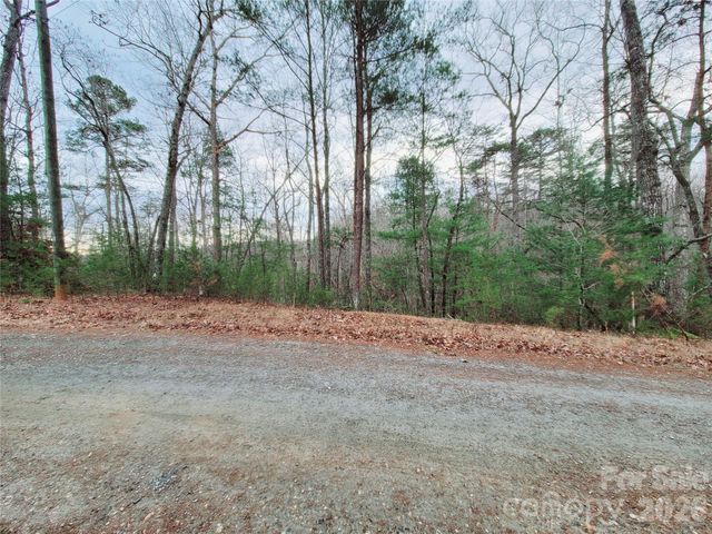 0 Birddog Boulevard 328, Lake Lure, NC 28746