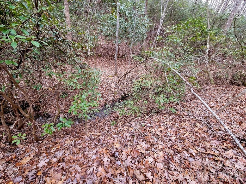 0 Birddog Boulevard 328, Lake Lure, NC 28746