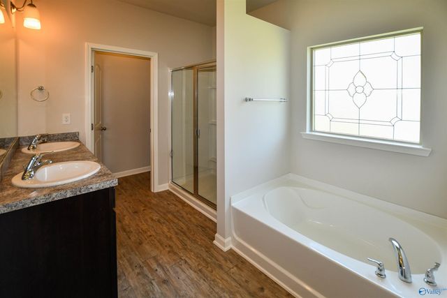 14426 Water Stream Drive NW, Harvest, AL 35749
