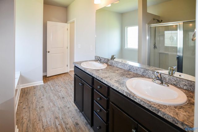 14426 Water Stream Drive NW, Harvest, AL 35749