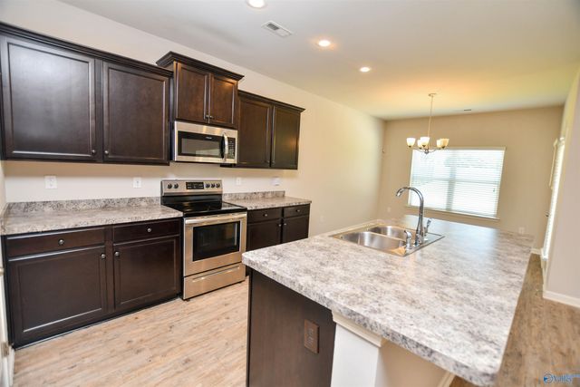 14426 Water Stream Drive NW, Harvest, AL 35749