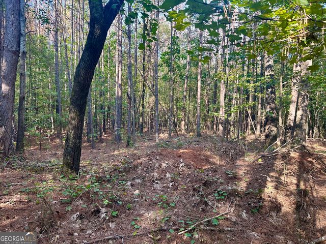 0 TRACT B Cool Springs Road, Winston, GA 30187
