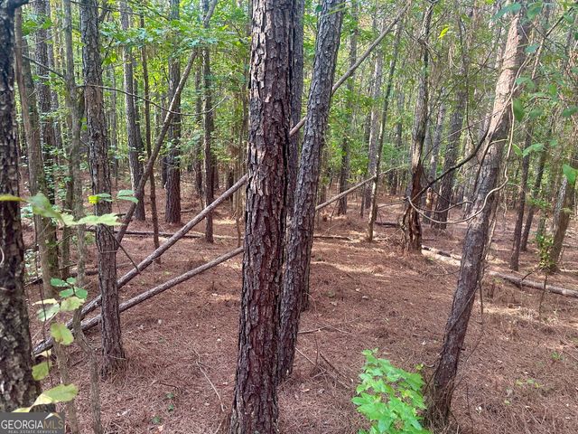 0 TRACT B Cool Springs Road, Winston, GA 30187