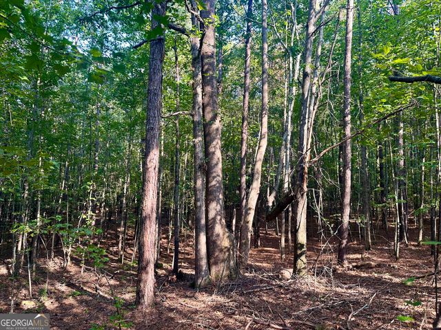0 TRACT B Cool Springs Road, Winston, GA 30187