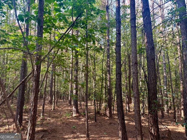 0 TRACT B Cool Springs Road, Winston, GA 30187