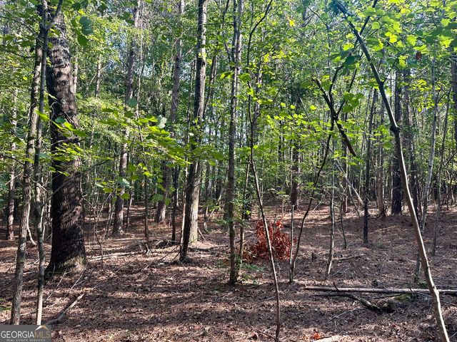0 TRACT B Cool Springs Road, Winston, GA 30187
