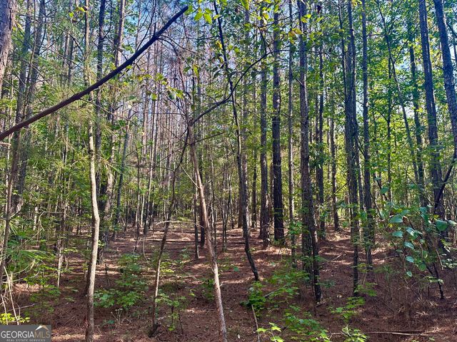 0 TRACT B Cool Springs Road, Winston, GA 30187