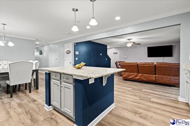 3048 Wild Turkey Drive, Effingham, SC 29541