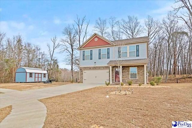 3048 Wild Turkey Drive, Effingham, SC 29541