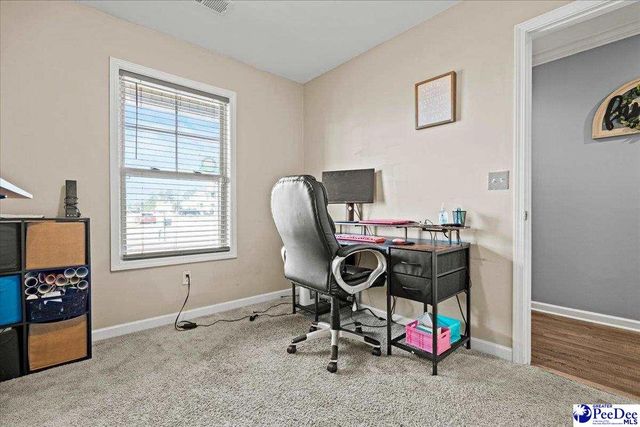 3048 Wild Turkey Drive, Effingham, SC 29541