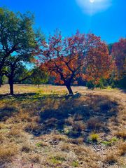 Lot 135 N Shapen Springs Rd # 135, Harper, TX 78631
