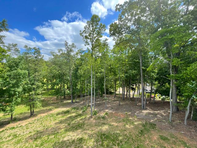 106 Park Shores CIR, Moneta, VA 24121