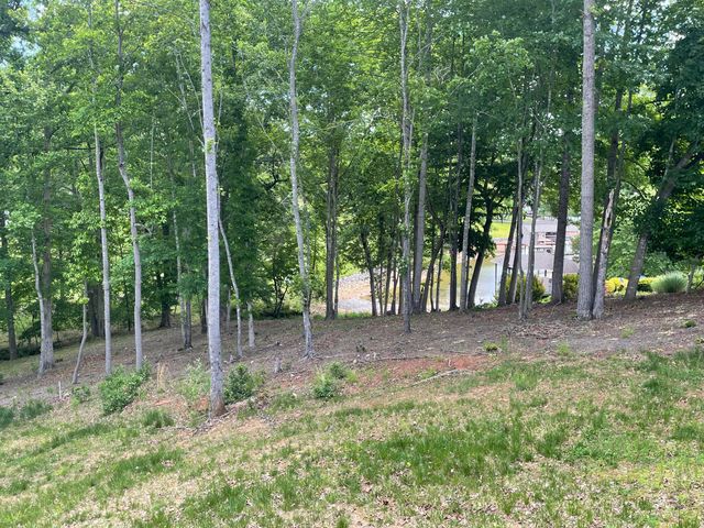 106 Park Shores CIR, Moneta, VA 24121
