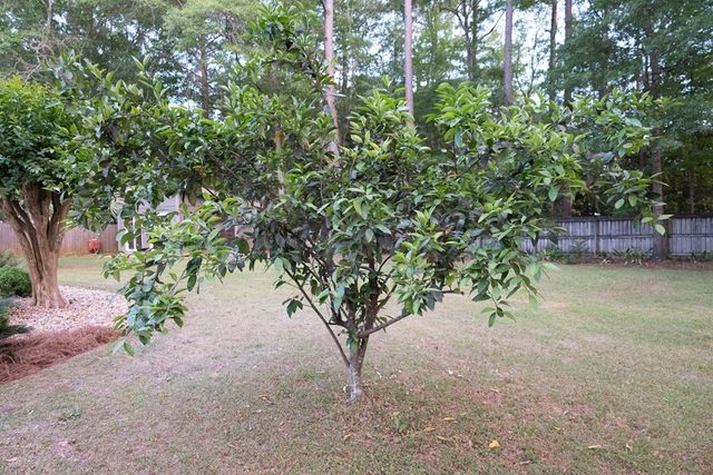 1605 Selkirk, Dothan, AL 36303