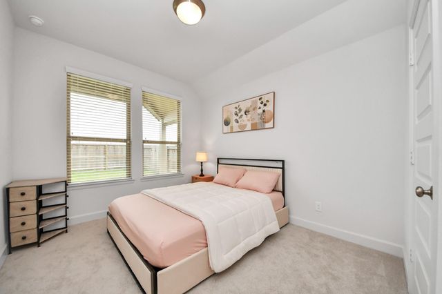 27210 Butterfly Mint Lane, Hockley, TX 77447