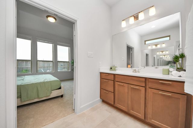 27210 Butterfly Mint Lane, Hockley, TX 77447