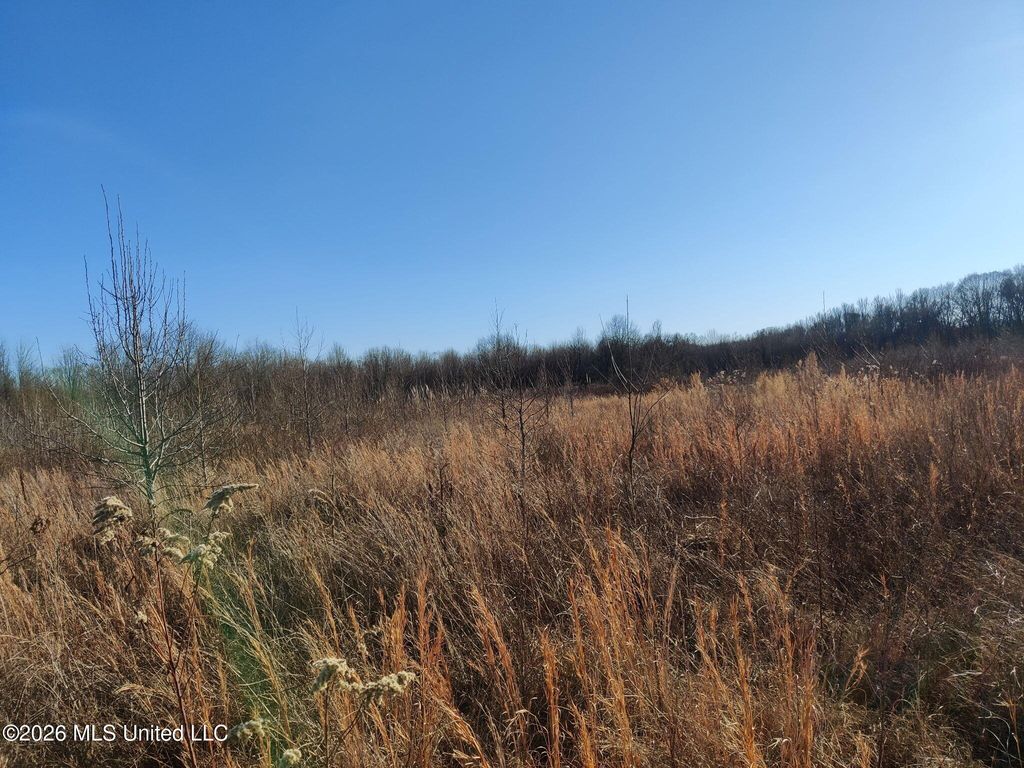 Miller Road, Olive Branch, MS 38654 — exterior
