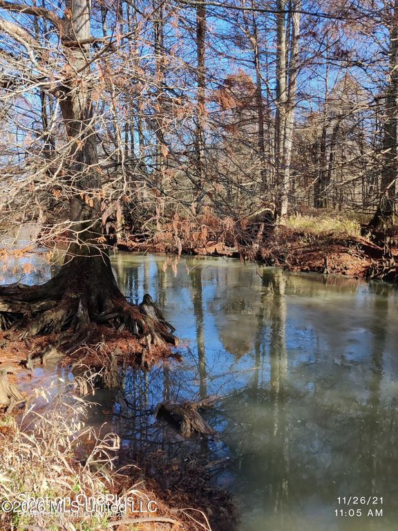 Miller Road, Olive Branch, MS 38654 — photo 2