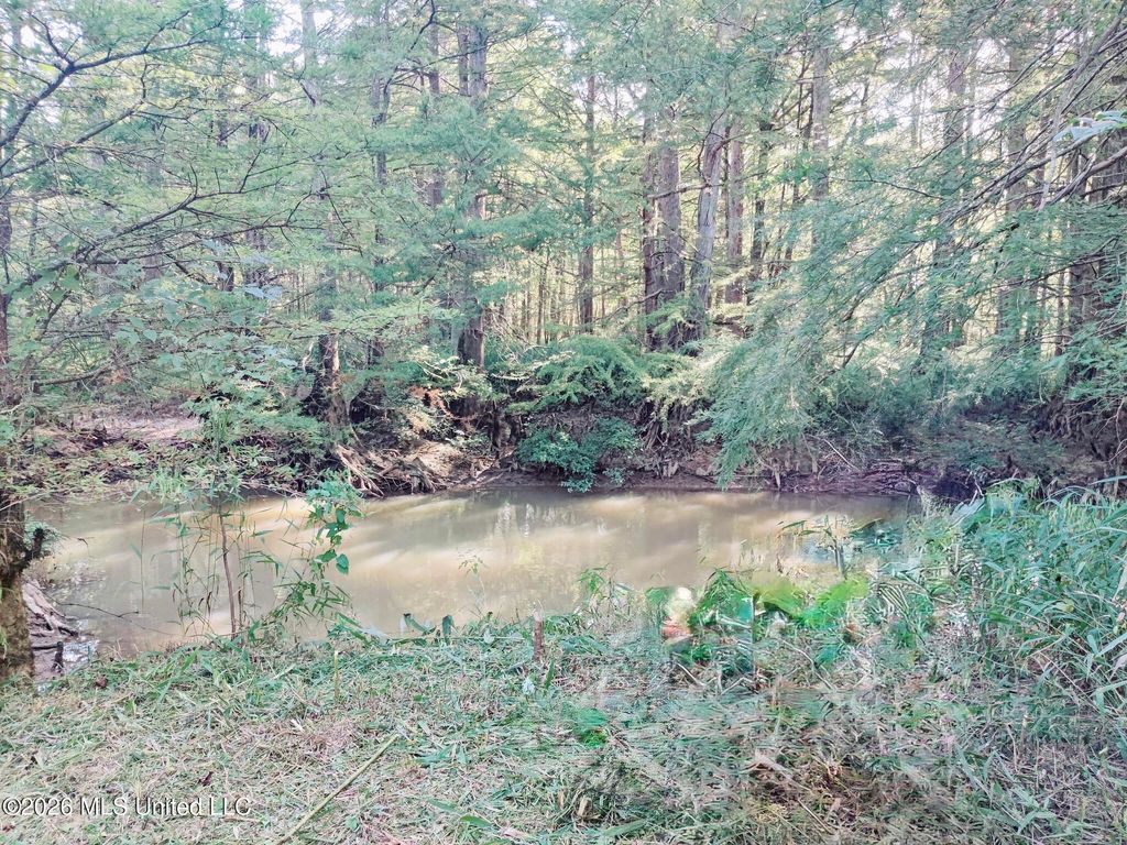 Miller Road, Olive Branch, MS 38654 — photo 3
