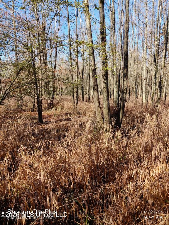 Miller Road, Olive Branch, MS 38654 — photo 5