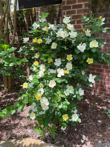 192 West Lake Circle, Madison, AL 35758