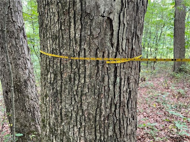 1368 Andora Road NE, Carrollton, OH 44615