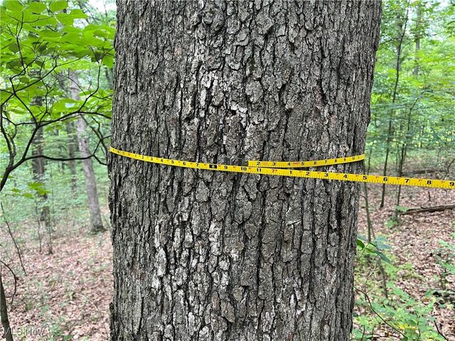 1368 Andora Road NE, Carrollton, OH 44615