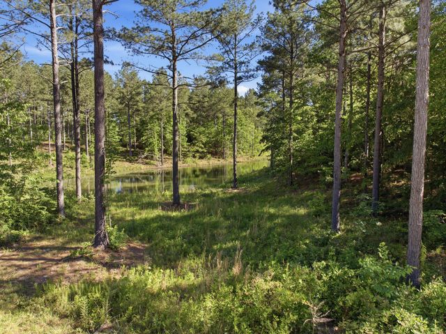 0 Birds Eye Way 1053, Guild, TN 37340